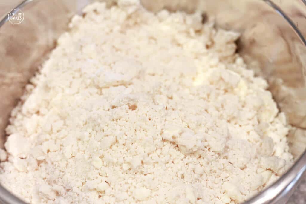 flour, butter and shortening mixed in food processor
