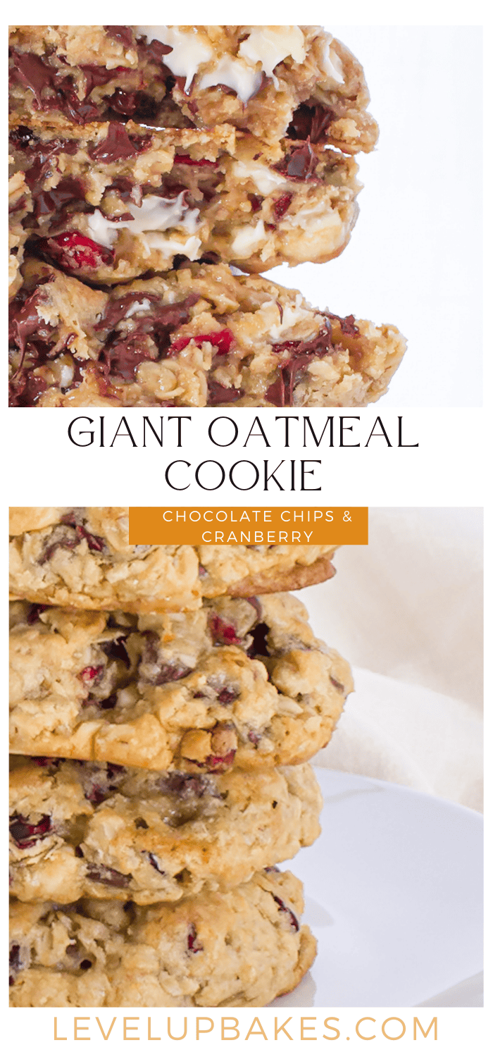 Giant oatmeal cookie pinterest pin