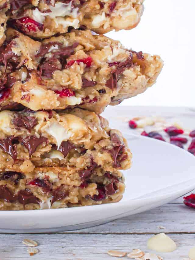 GIANT Chocolate Chip and Cranberry Cookie