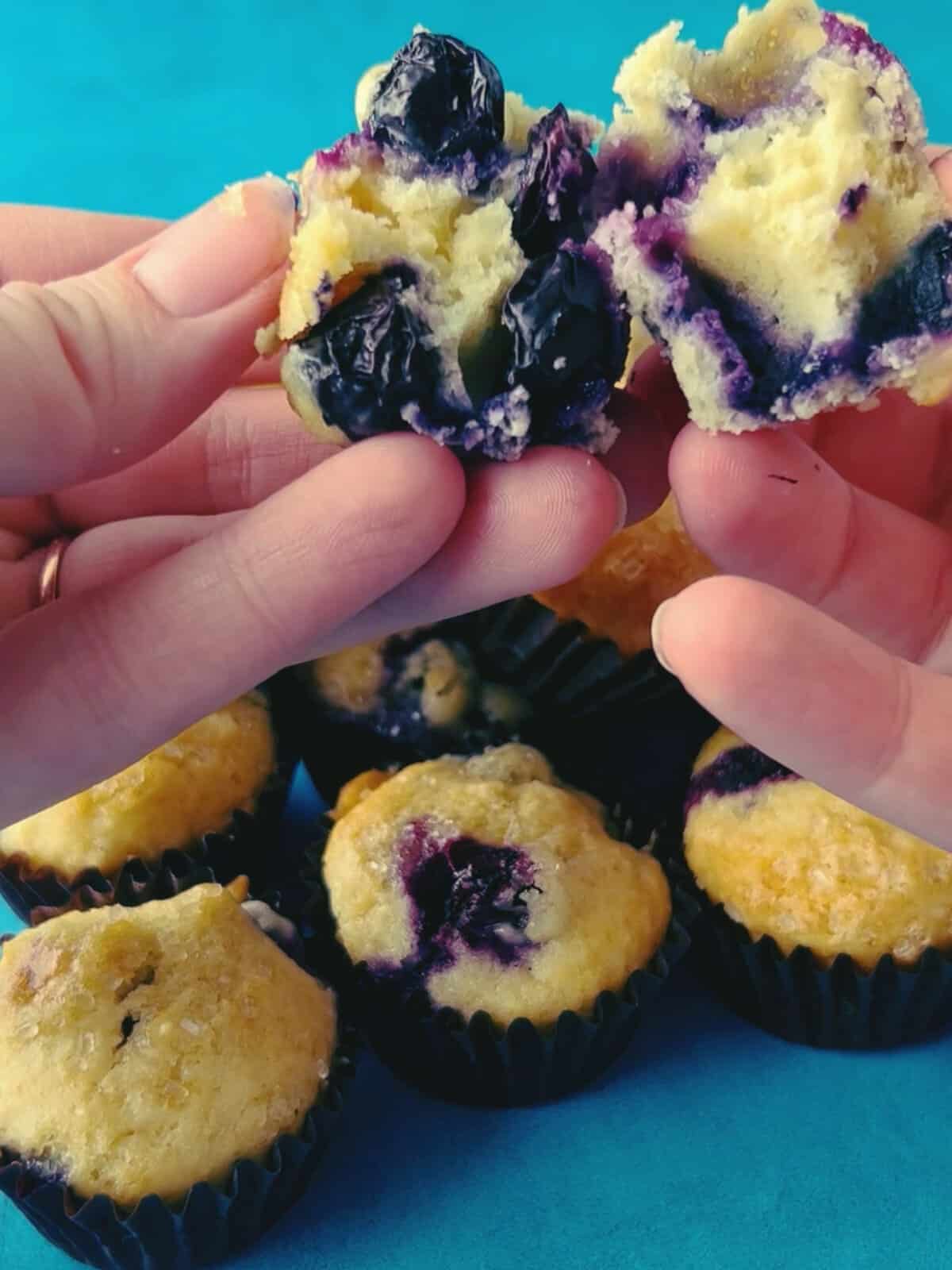 a mini blueberry muffin being torn in half. 