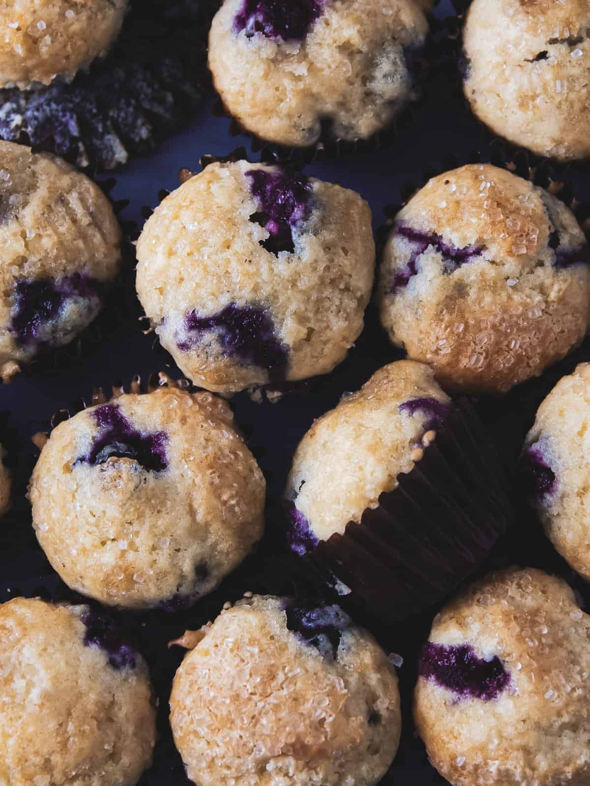 Mini blueberry muffins sat all next to eachother.